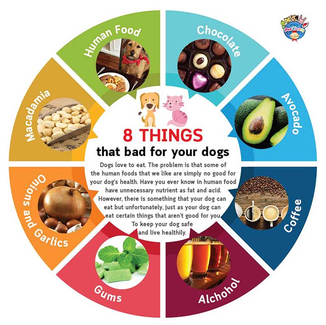 what is bad for dogs