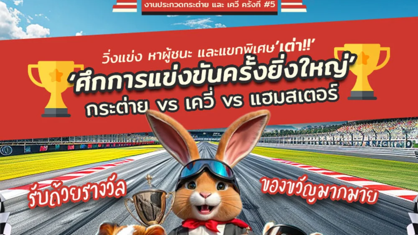 rabbitshow_racing_1