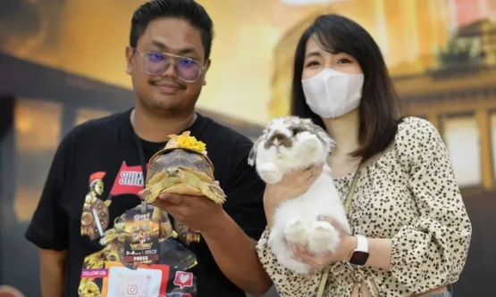 Petvariety 2023