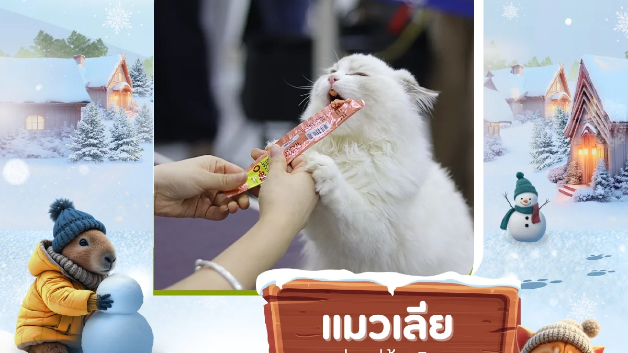 cat-licking-2026-cnx