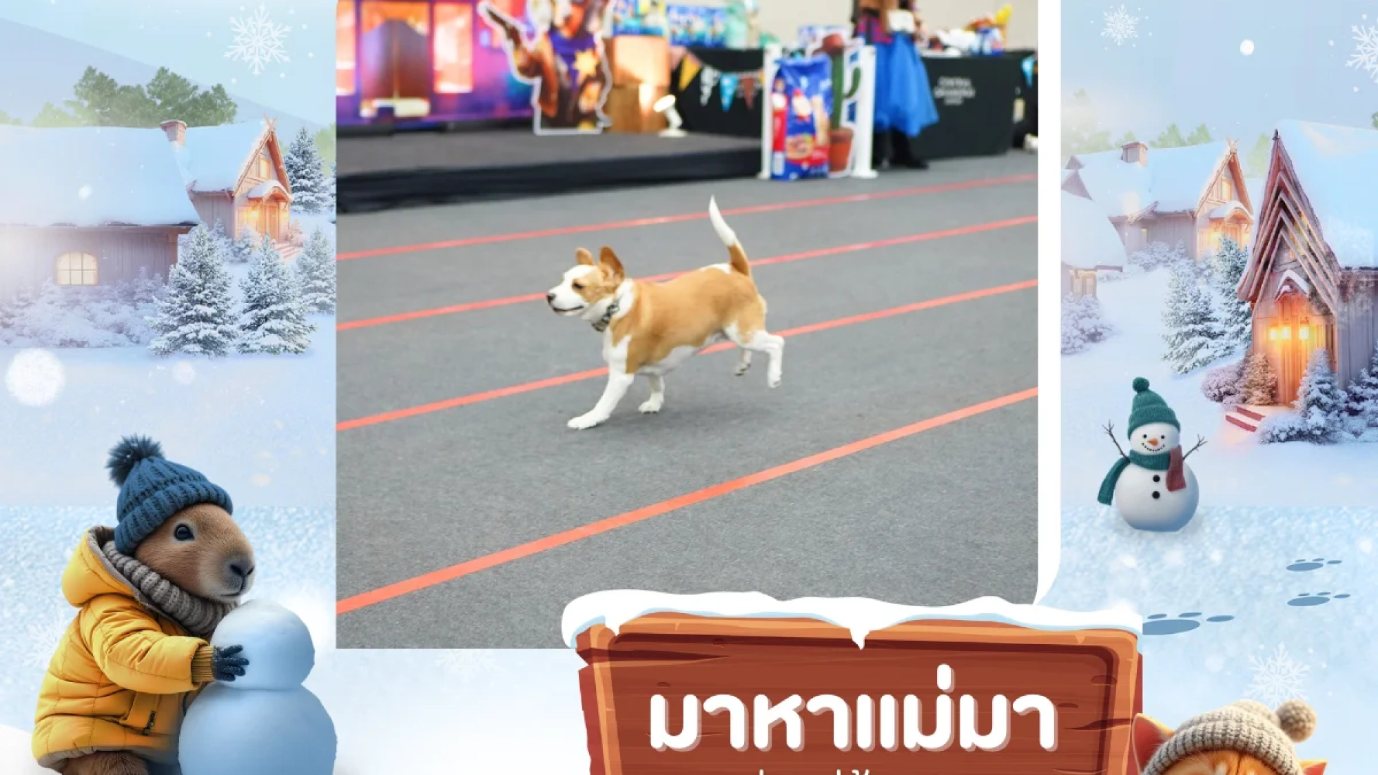 come-to-mama-2026-cnx