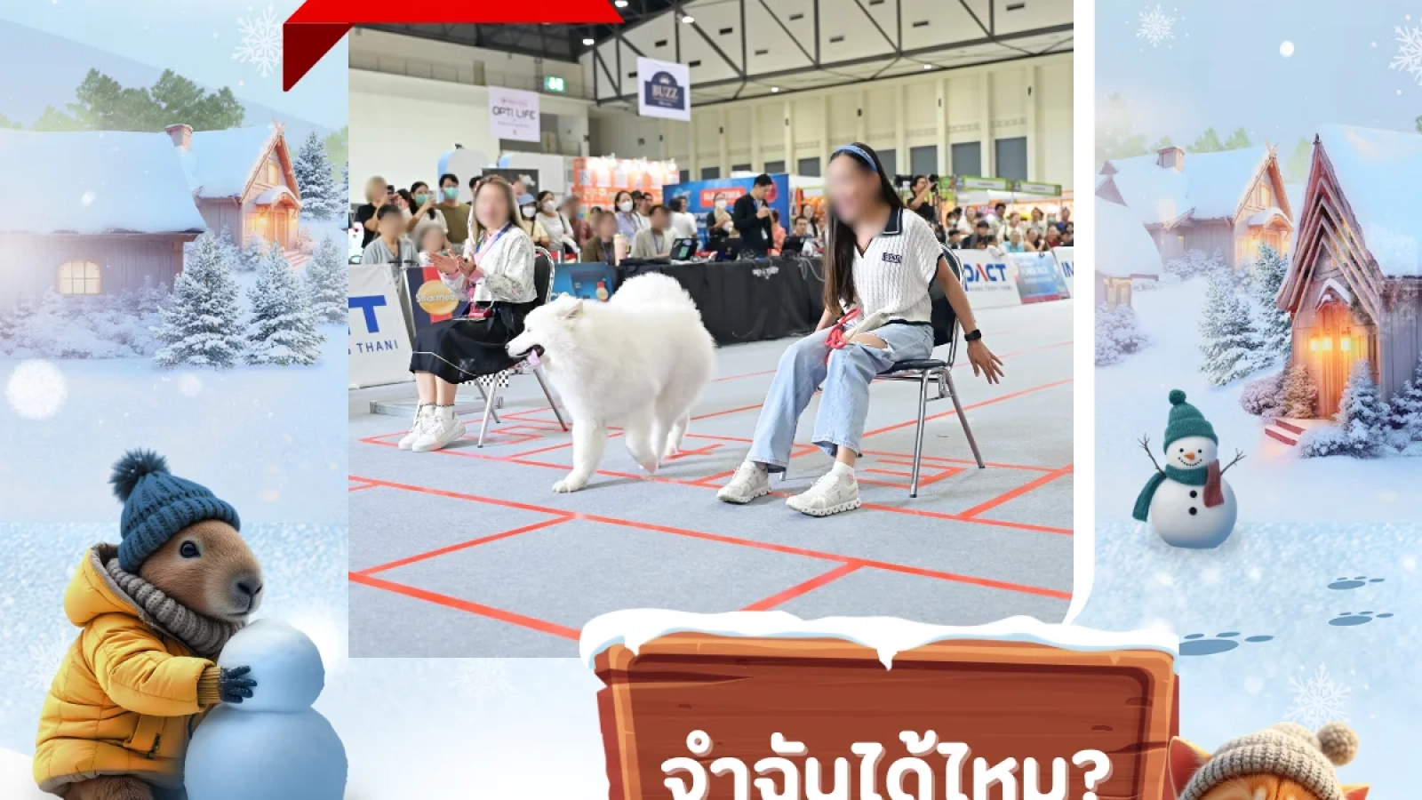 remember-me-2026-cnx