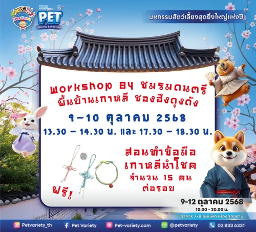 Workshop สอนทำข้อมือเกาหลี Workshop สอนทำข้อมือเกาหลี
