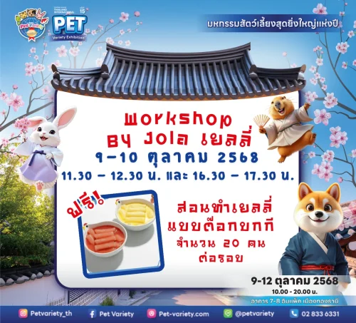 Workshop สอนทำเยลลี่ Workshop สอนทำเยลลี่