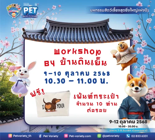 Workshop สอนเพ้นท์กระเป๋า Workshop สอนเพ้นท์กระเป๋า