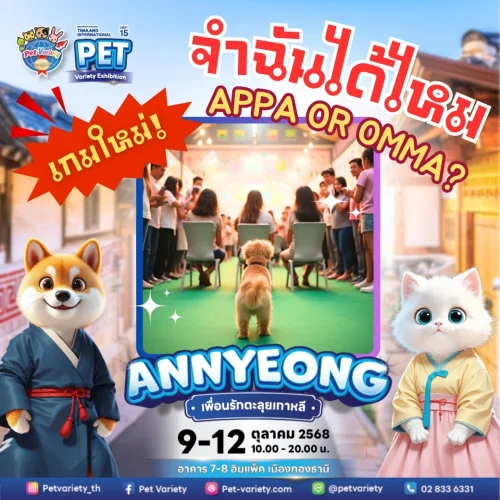 appa or mama
