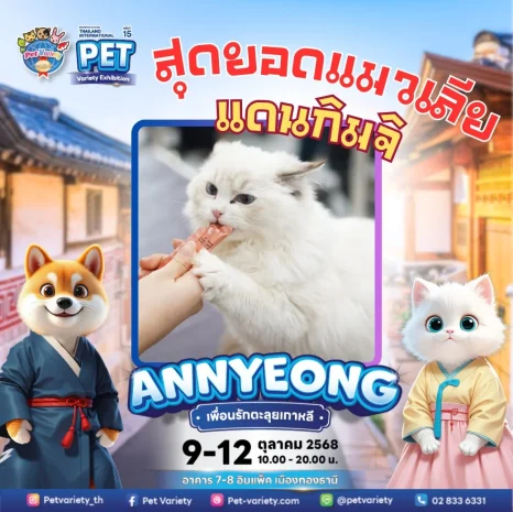 cat-licking.webp