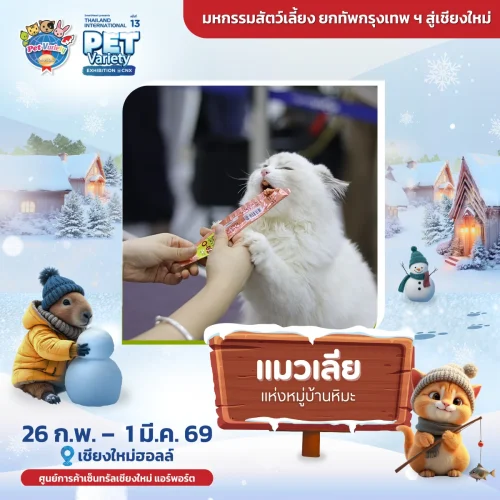 cat-licking-2026-cnx