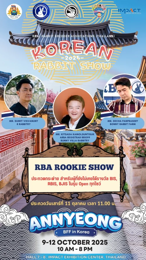 korean-rabbit-show