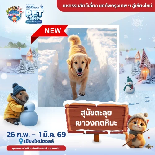 snow-labyrinth-2026-cnx